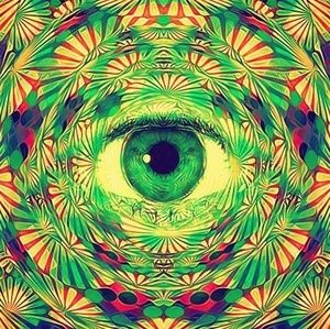 Meet your Posher, Steve